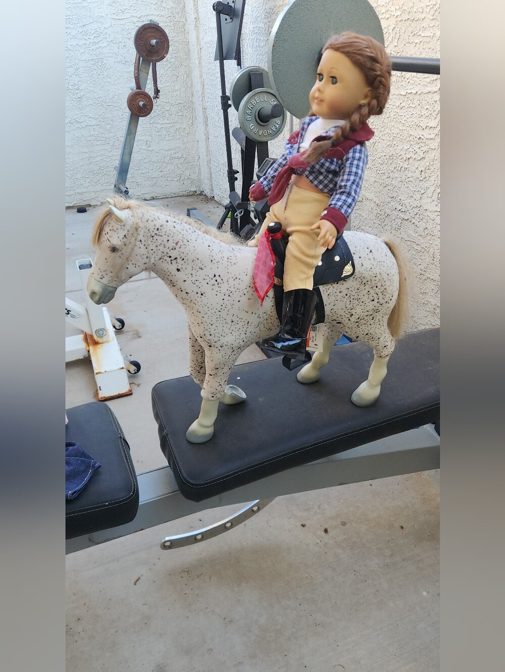 - AMERICAN GIRL DOLL And SAIGE HORSE~BRIDLE~SADDLE - Picture 9 of 10